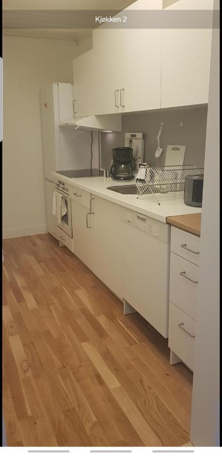 Blue House Brevik Porsgrunn Apartman Kültér fotó